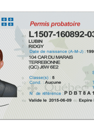 Editable blank Quebec driver license template psd pdf download