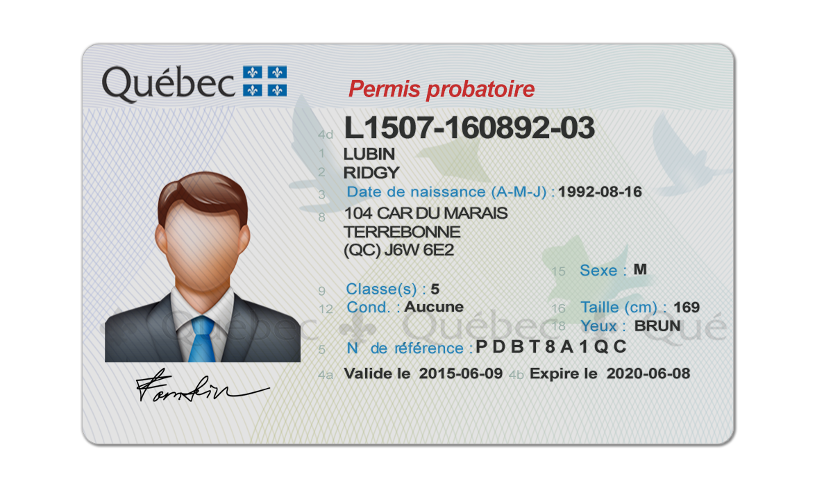 Editable blank Quebec driver license template psd pdf download