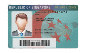 Editable blank Singapore driver license template psd pdf download