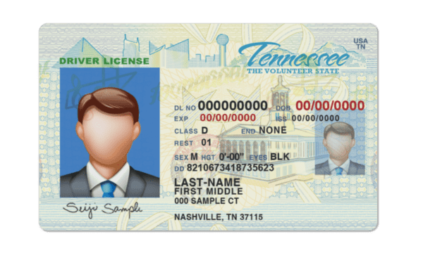 Editable blank Tennessee driver license template psd pdf download