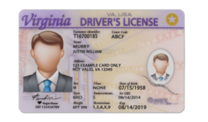 Editable blank Virginia driver license template psd pdf download