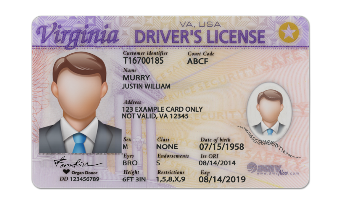 Editable blank Virginia driver license template psd pdf download