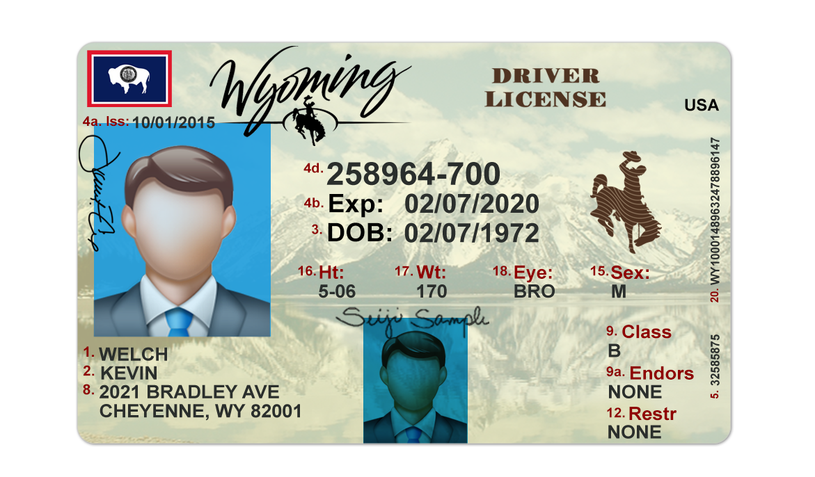 Editable blank Wyoming driver license template psd pdf download