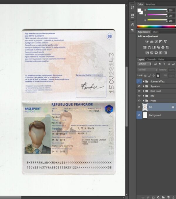 Editable blank France Passport template psd pdf download