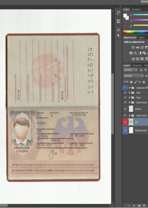 Editable blank Germany Passport template psd pdf download