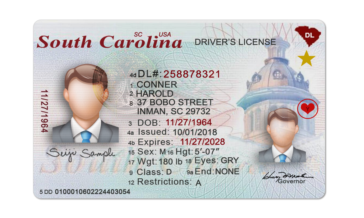 Editable blank South Carolina driver license template psd pdf download